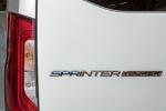 Mercedes-Benz Sprinter 319 CDI Tourer 2018 года (WW)